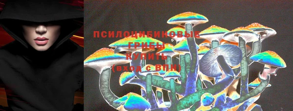 а пвп мука Абаза