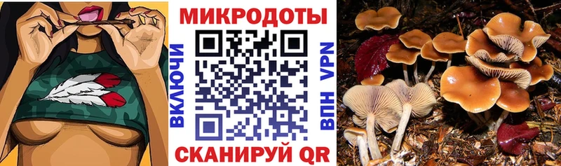 Псилоцибиновые грибы MAGIC MUSHROOMS  Шебекино 