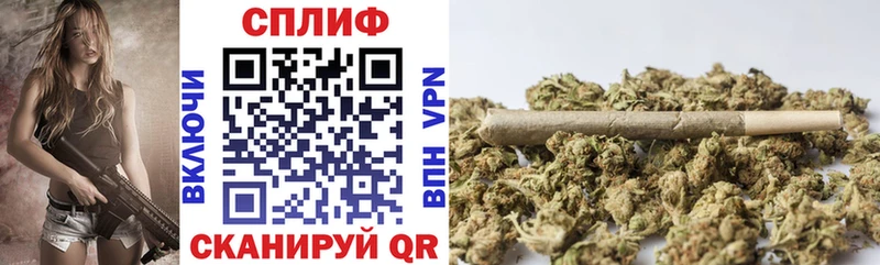 Бошки Шишки планчик  Шебекино 